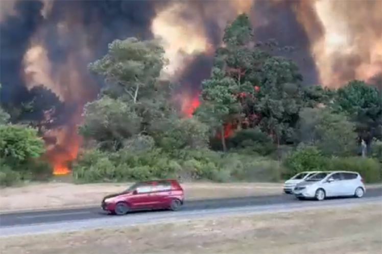 Incendios forestales en Uruguay evidenciaron asimetrías rurales Incendios forestales en Uruguay evidenciaron asimetrías rurales