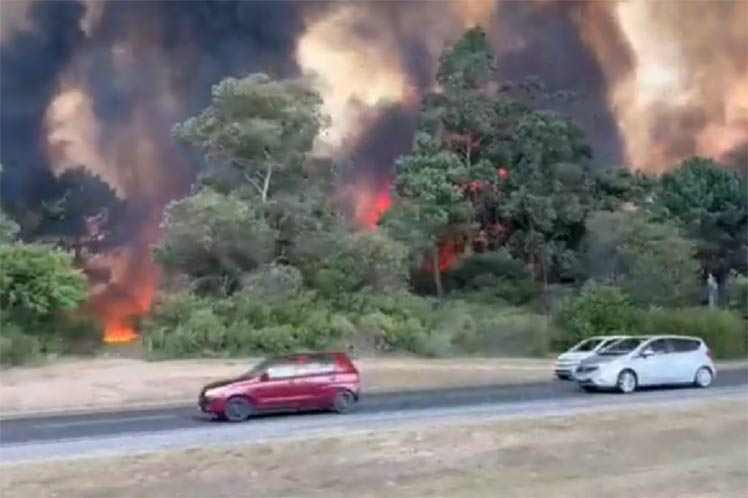 Incendios forestales en Uruguay evidenciaron asimetrías rurales