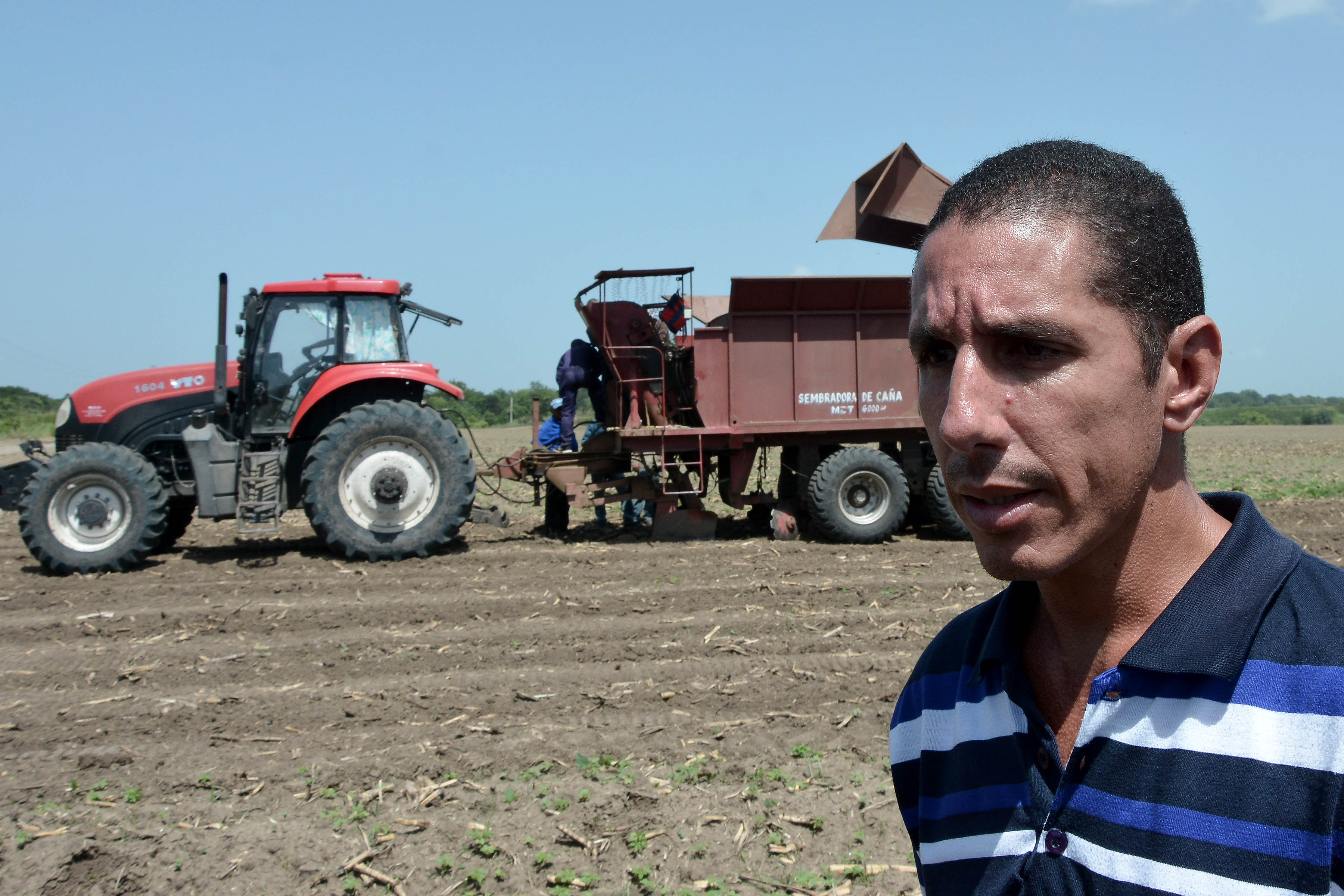 Sembrar caña, la primera prioridad en Granma