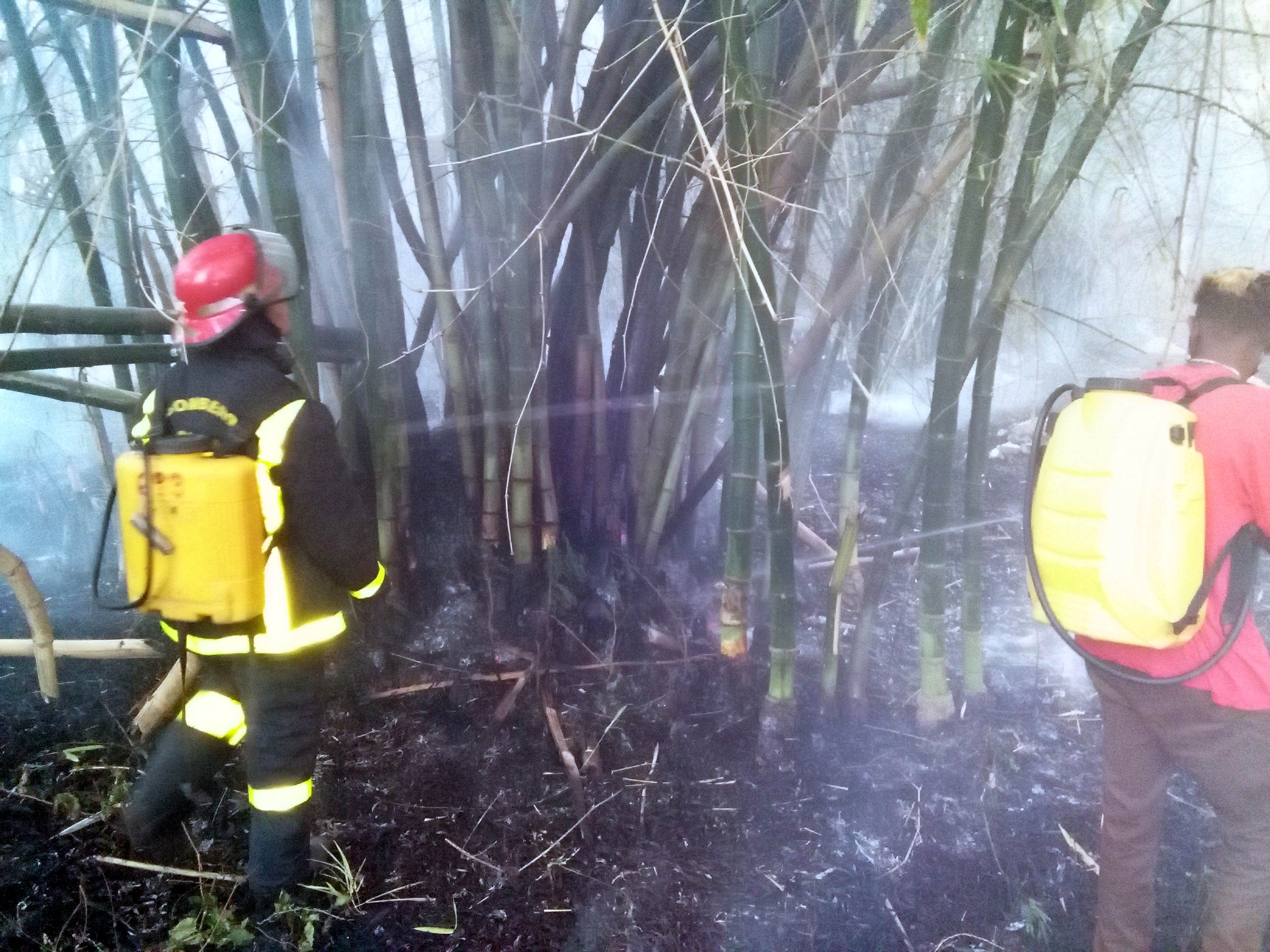 Llaman a extremar medidas contra incendios Llaman a extremar medidas contra incendios