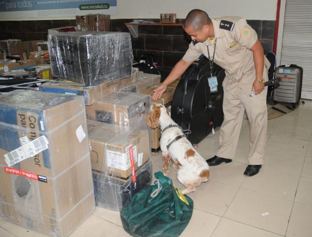 Cuba mantiene política de tolerancia cero al narcotráfico Cuba mantiene política de tolerancia cero al narcotráfico