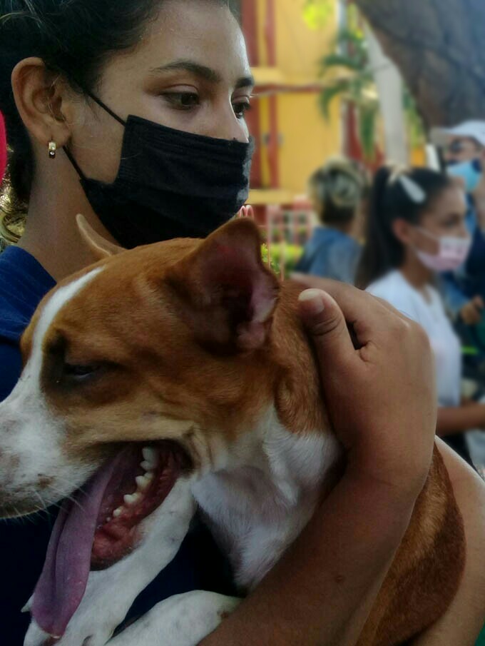 Ver con los ojos del alma
