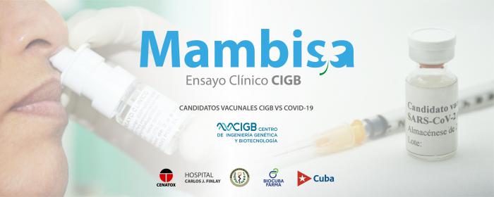 ¿Cómo marchan los ensayos clínicos con el candidato vacunal Mambisa?