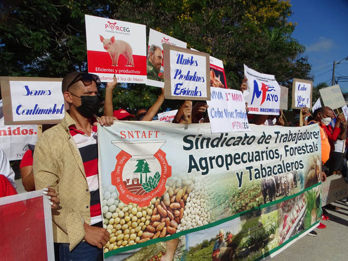 Entusiasmo y colorido en Festival de carteles por el Primero de Mayo en Bayamo (+ fotos)