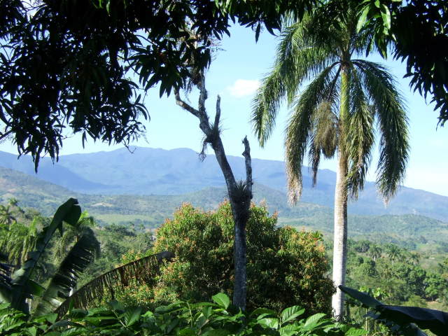 Sierra Cristal, la primera área protegida de Cuba Sierra Cristal, la primera área protegida de Cuba