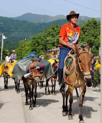 Arrieros y fabulaciones serranas cabalgan a buen ritmo Arrieros y fabulaciones serranas cabalgan a buen ritmo