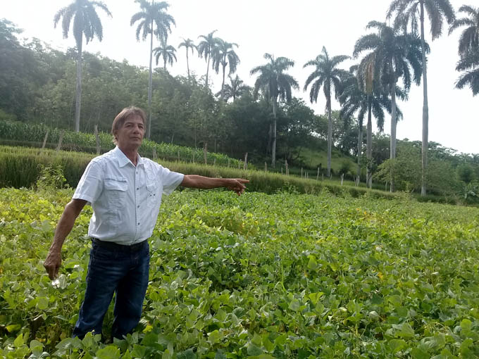 Granma categoriza su primera finca como iniciada en el manejo sostenible de tierras