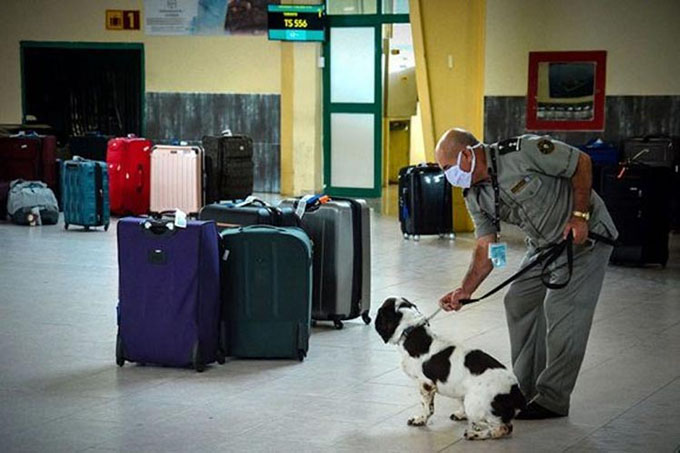 Cuba mantiene tolerancia cero a tráfico de drogas