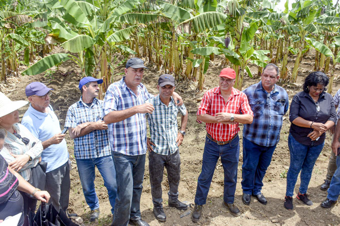 Analizan preparativos para campaña de siembra de frío en Granma