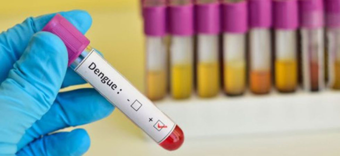 Cuba desarrolla acciones para enfrentar el dengue Cuba desarrolla acciones para enfrentar el dengue