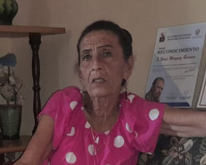 A los CDR no les puede faltar el entusiasmo A los CDR no les puede faltar el entusiasmo