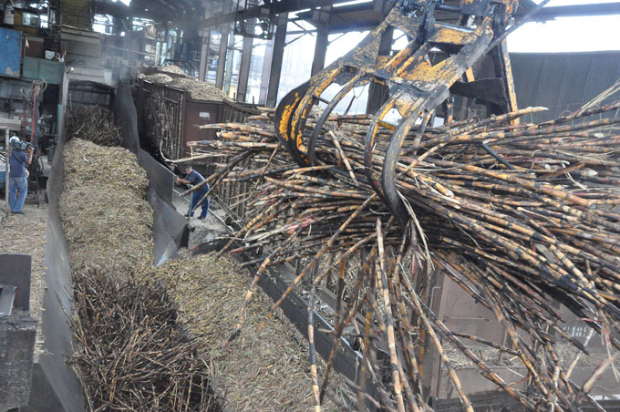 Buscan recuperar agroindustria azucarera en Granma Buscan recuperar agroindustria azucarera en Granma