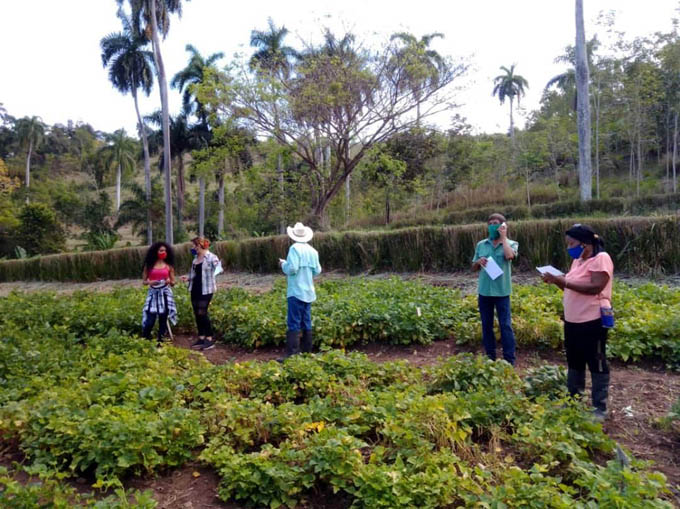 Proyecto de Innovación Agropecuaria local (Pial): ¿Y después? Proyecto de Innovación Agropecuaria local (Pial): ¿Y después?