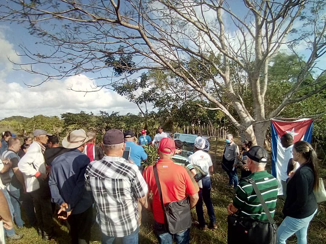 En Cuba celebración por el día mundial del suelo En Cuba celebración por el día mundial del suelo