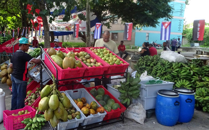 Intensifican preparativos para ferias agropecuarias en Granma Intensifican preparativos para ferias agropecuarias en Granma