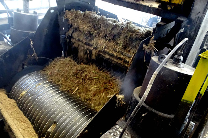 Comenzó la zafra azucarera en Granma Comenzó la zafra azucarera en Granma