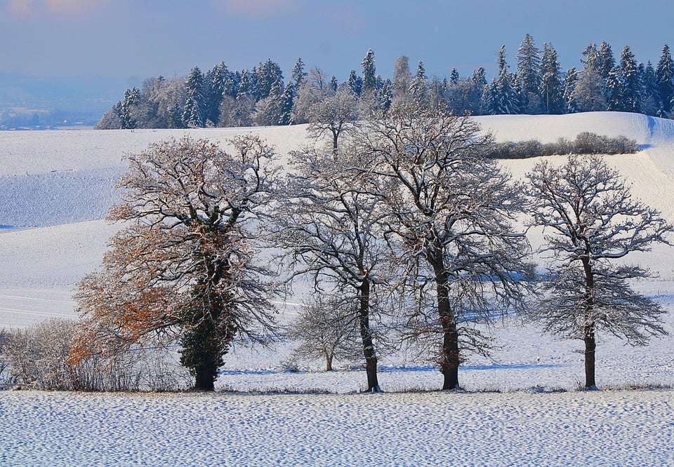 Lo mágico religioso del Solsticio de Invierno Lo mágico religioso del Solsticio de Invierno