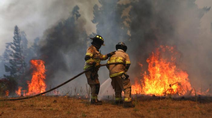 Detienen en Chile personas presuntamente implicadas en incendios forestales Detienen en Chile personas presuntamente implicadas en incendios forestales