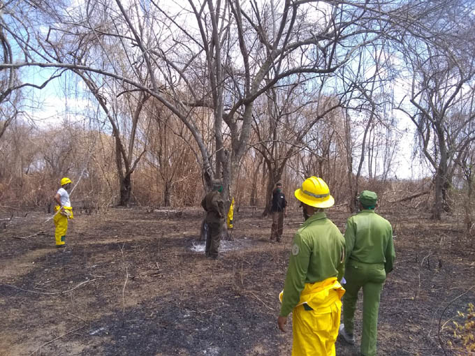 Crecen incendios forestales y no forestales  en Granma