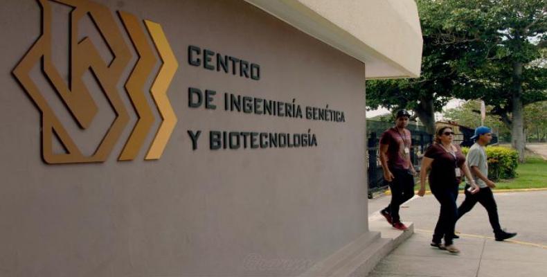 Comienzan estudios preclínicos del candidato vacunal cubano contra el dengue Comienzan estudios preclínicos del candidato vacunal cubano contra el dengue