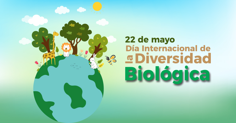 Día Mundial de la Biodiversidad: Cuidemos la naturaleza Día Mundial de la Biodiversidad: Cuidemos la naturaleza