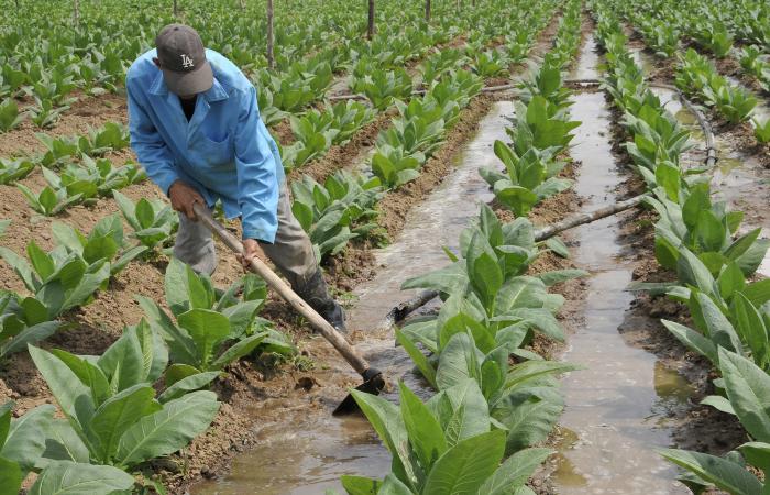 El día que la Patria recobró la tierra perdida