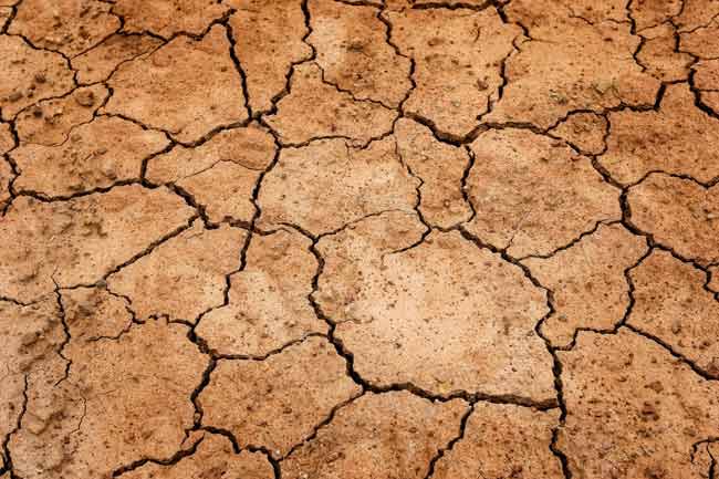 La desertificación no deseada La desertificación no deseada