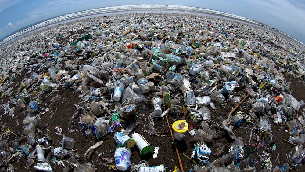 Hoy es el Día Mundial del Medio Ambiente Hoy es el Día Mundial del Medio Ambiente