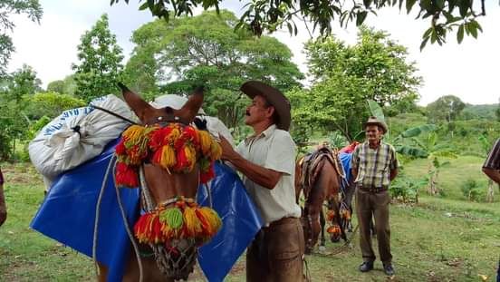 Se alista Buey Arriba para el Encuentro de arrieros y fabulaciones serranas 2023 Se alista Buey Arriba para el Encuentro de arrieros y fabulaciones serranas 2023