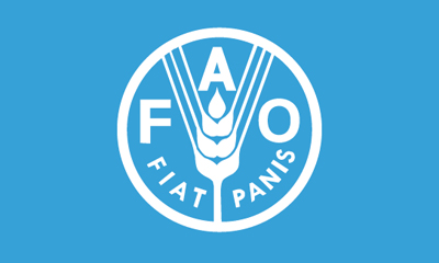 Confirma la FAO asistencia técnica al golfo de Guacanayabo Confirma la FAO asistencia técnica al golfo de Guacanayabo