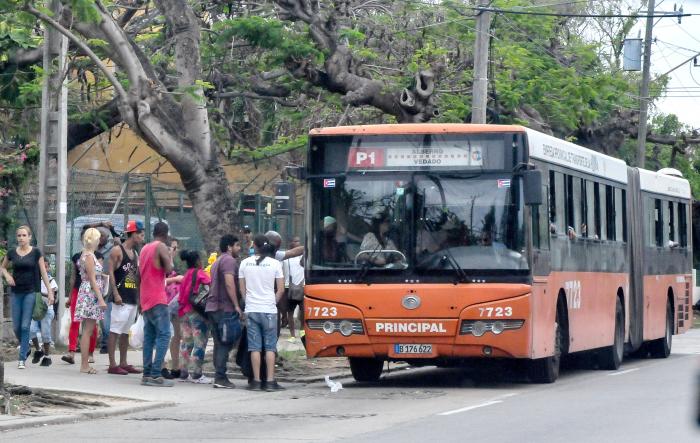 ¿Cuál es la situación actual y perspectiva de la transportación de pasajeros en el país?