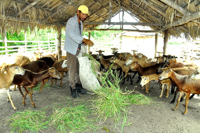 En producir alimentos está la soberanía
