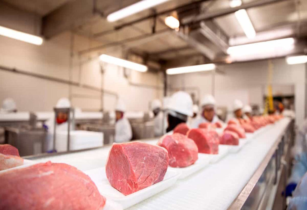 Empresa costarricense exporta carne a Cuba Empresa costarricense exporta carne a Cuba