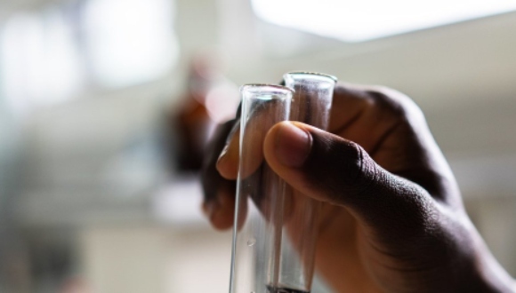 Una cumbre explorará cómo aprovechar mejor el potencial de la medicina tradicional Una cumbre explorará cómo aprovechar mejor el potencial de la medicina tradicional