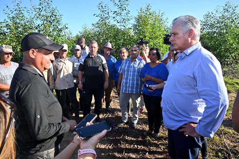 Presidente cubano chequea avances en acciones de recuperación Presidente cubano chequea avances en acciones de recuperación