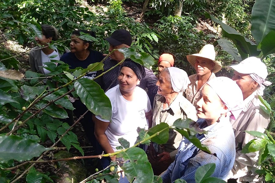 Intercambió Tapia Fonseca con productores en Bartolomé Masó Intercambió Tapia Fonseca con productores en Bartolomé Masó