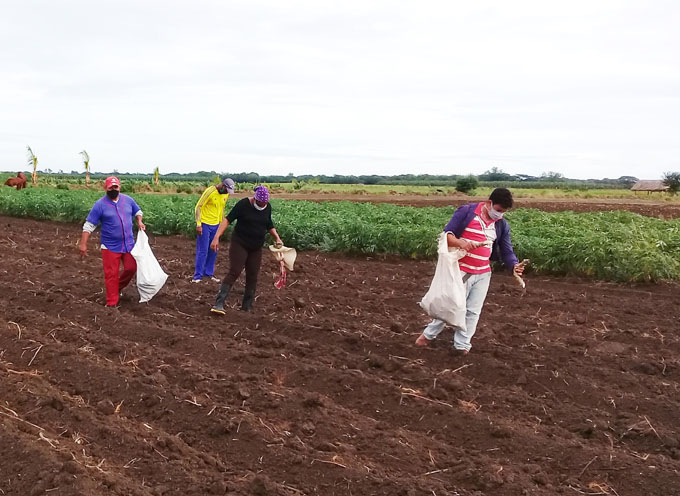 Cautocristenses por avances en la tarea Vida Cautocristenses por avances en la tarea Vida