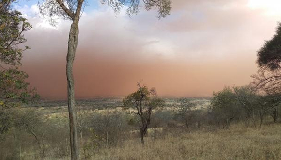 El Caribe y Sudamérica entre zonas críticas ante creciente incidencia de tormentas de arena y polvo, según la OMM El Caribe y Sudamérica entre zonas críticas ante creciente incidencia de tormentas de arena y polvo, según la OMM