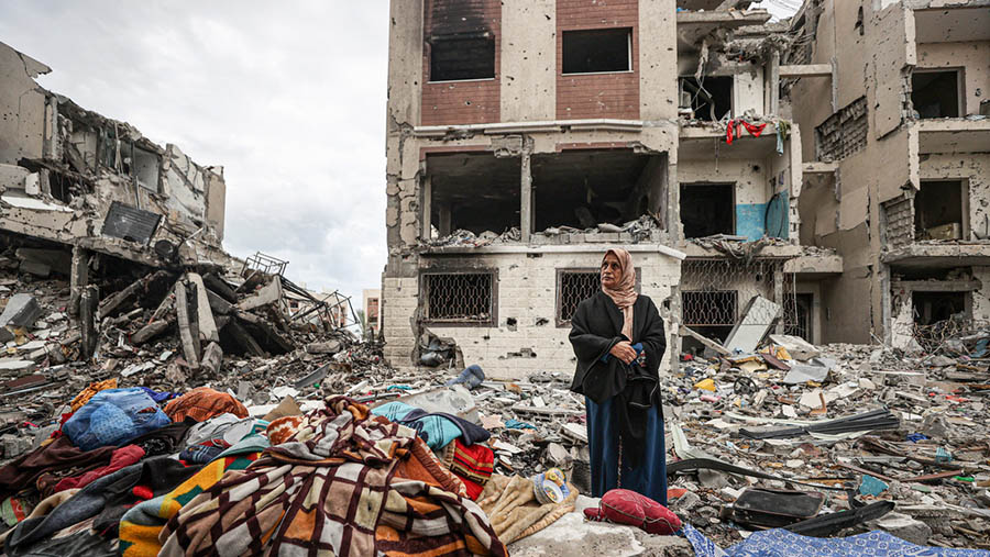 La OMS advierte que las muertes por enfermedad en Gaza podrían superar a las causadas por la guerra La OMS advierte que las muertes por enfermedad en Gaza podrían superar a las causadas por la guerra