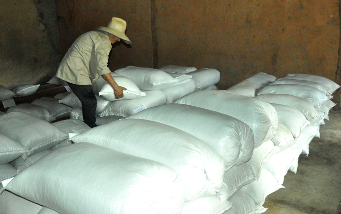 Granma se prepara para enfrentar las intensas lluvias en la Agricultura Granma se prepara para enfrentar las intensas lluvias en la Agricultura