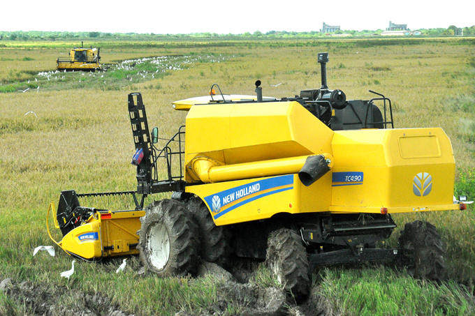 Incorporan nuevas cosechadoras de arroz en Río Cauto