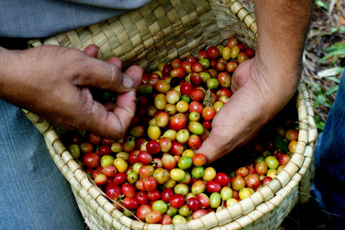 Exportaciones granmenses: sin renunciar al empeño Exportaciones granmenses: sin renunciar al empeño