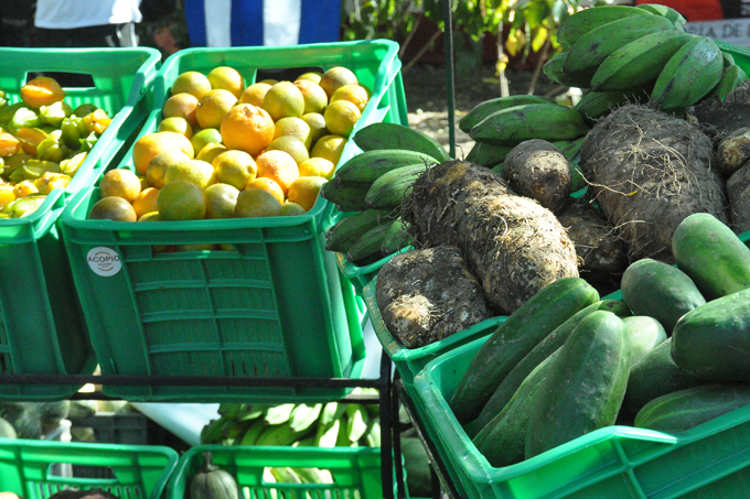 Feria agropecuaria a la altura del pueblo granmense