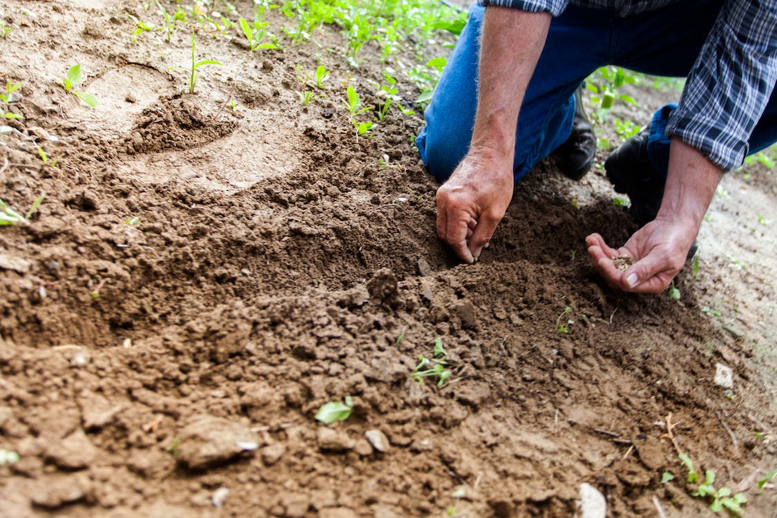 Un día también para los suelos Un día también para los suelos
