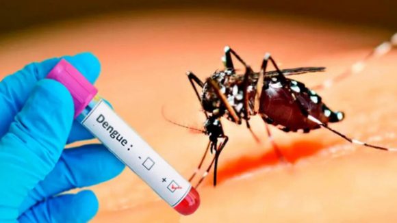 OMS: El aumento de los casos de dengue es una grave amenaza a nivel global OMS: El aumento de los casos de dengue es una grave amenaza a nivel global