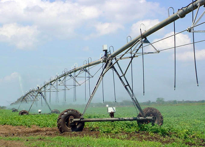 Efectuarán Tercer Taller oriental de producción de semillas y granos en Granma Efectuarán Tercer Taller oriental de producción de semillas y granos en Granma