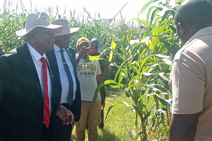 Dialogó Valdés Mesa con amigos y colaboradores cubanos en Zimbabue Dialogó Valdés Mesa con amigos y colaboradores cubanos en Zimbabue
