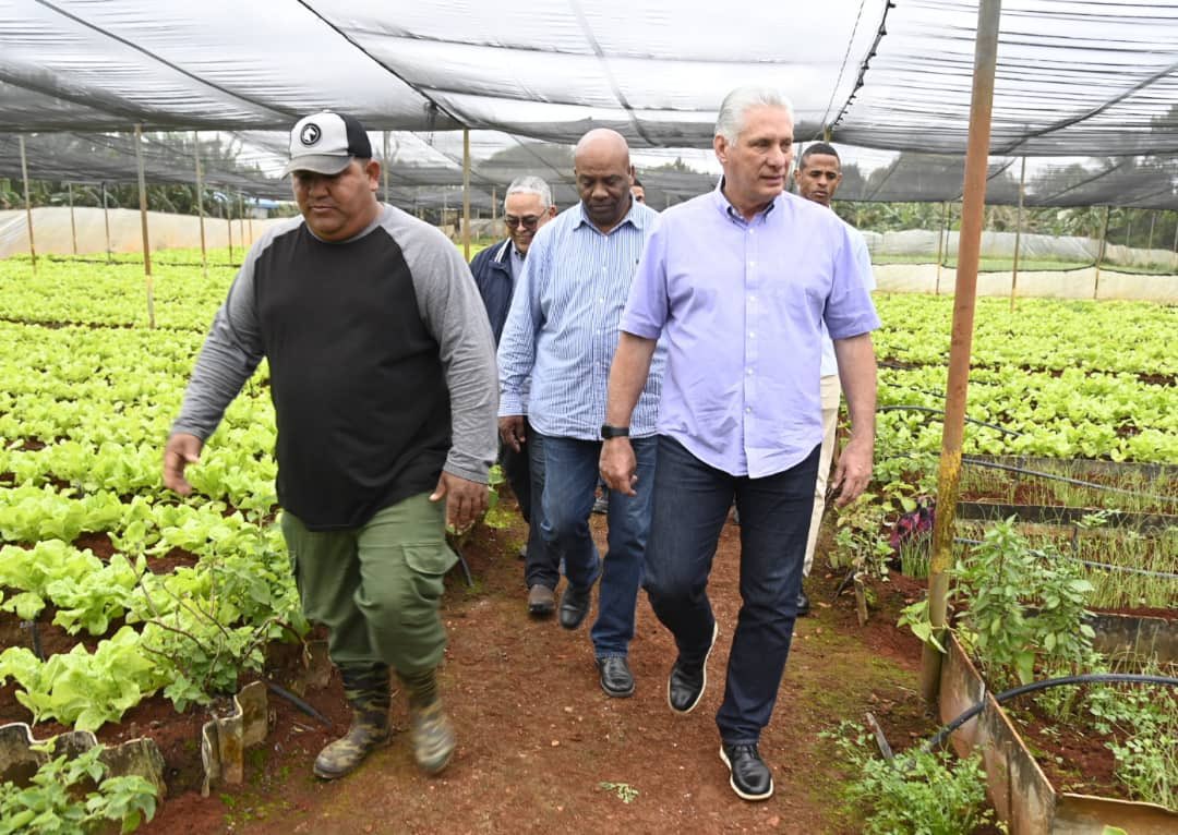 Inicia Presidente cubano recorridos de trabajo en la capital Inicia Presidente cubano recorridos de trabajo en la capital