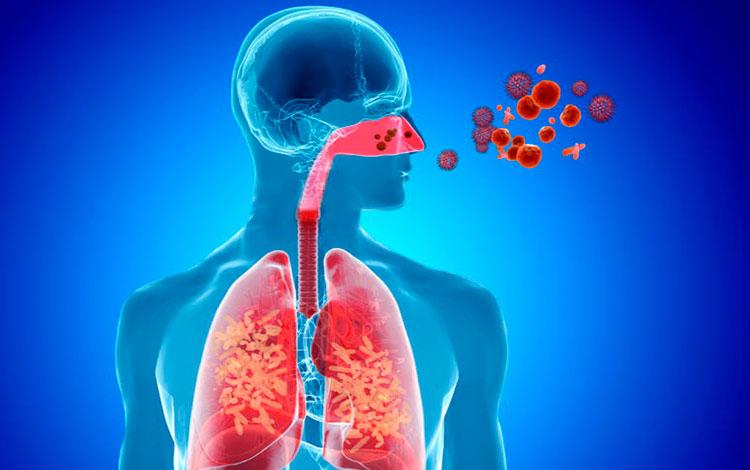 España bajo azote de gripe A e infecciones respiratorias España bajo azote de gripe A e infecciones respiratorias