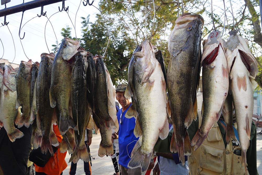 Ganó Holguín torneo nacional de pesca de la trucha Ganó Holguín torneo nacional de pesca de la trucha